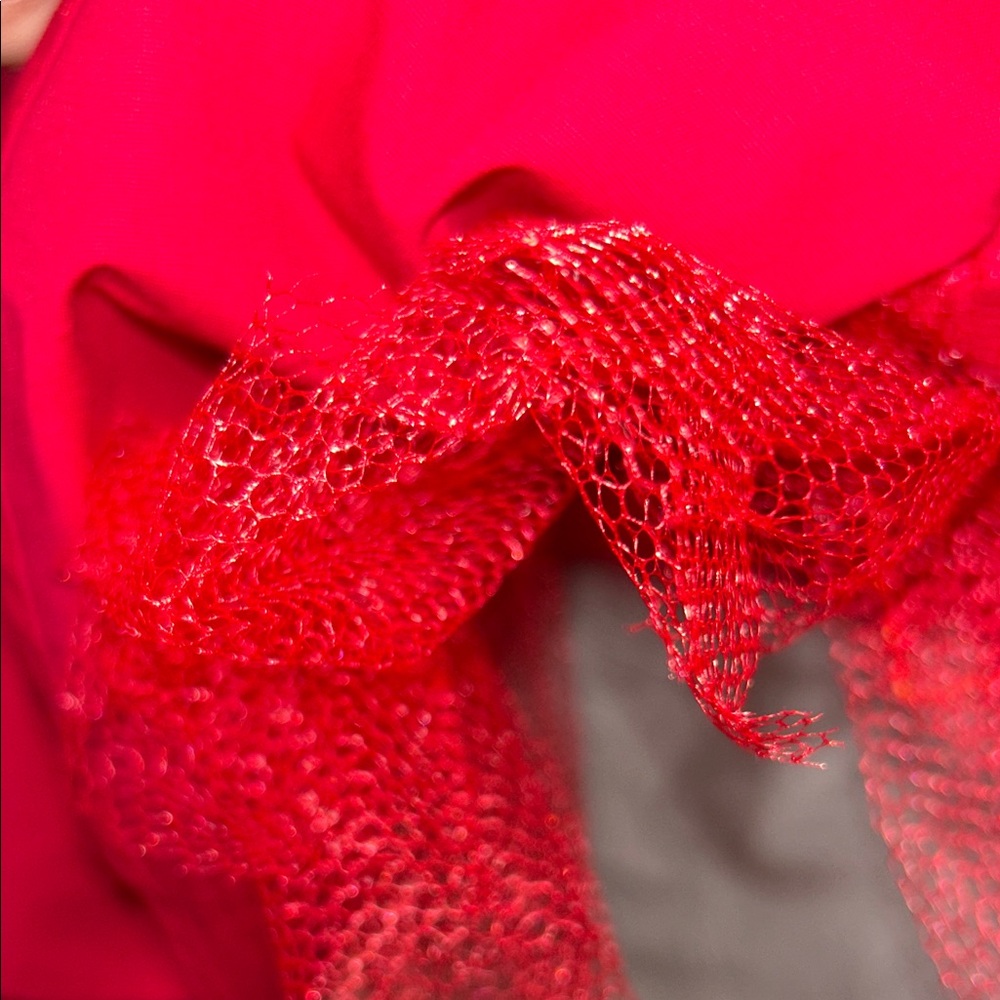 Red Poodle Skirt - Picture 6 of 8